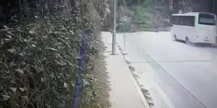 Antalya'da fırtınanın devirdiği ağaç faciaya sebep oluyordu