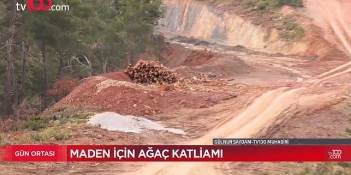 Kaz Dağları resmen yok ediliyor: Nurol Holding 158 bin ağaç kesecek