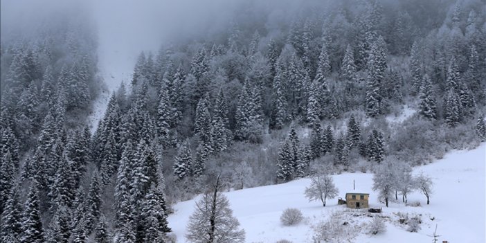 Zigana Dağı'nda kar ve sis etkili oluyor
