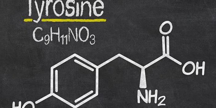 Tirozin amino asidi hangi hastalıklara neden olur?