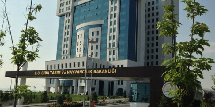 Koyun keçi yetiştiricileri birliği teknik eleman alımı yapacak