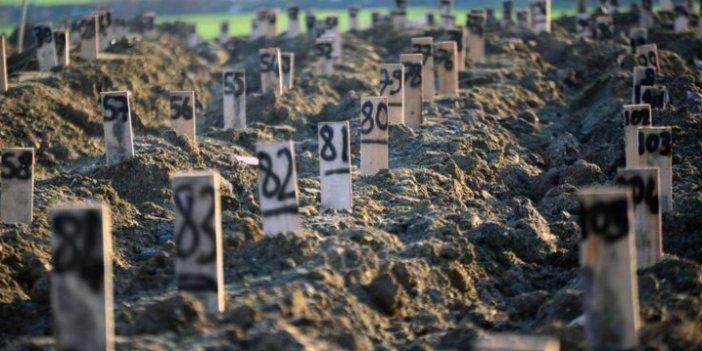 Hatay'da 'deprem mezarlığı' oluşturuldu: Numarayla defnedildiler