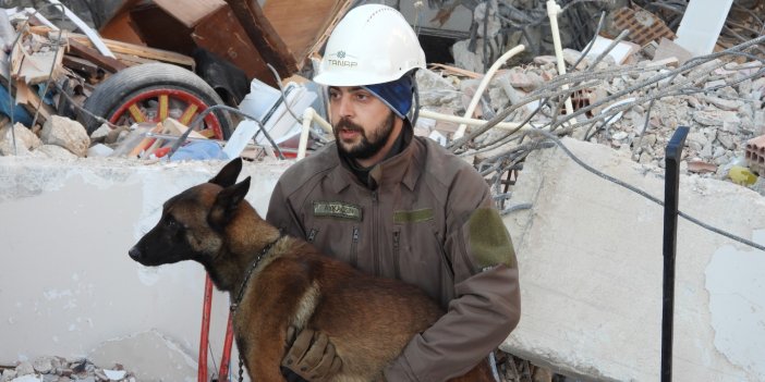 Arama kurtarma köpeği Tetik, Samandağ'da 15 can kurtardı