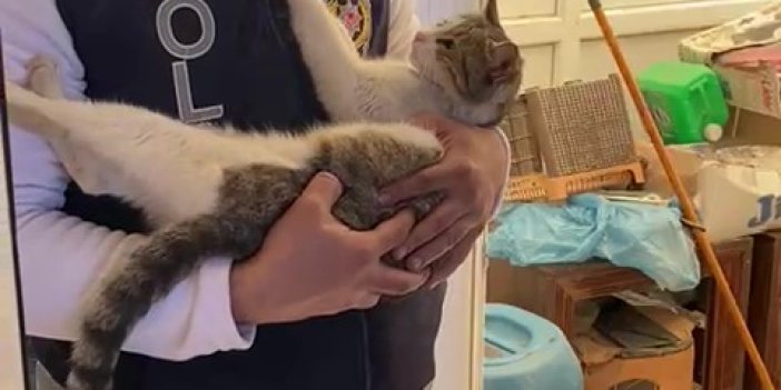Enkazdan çıkan kediyi polis teskin etti. Yaşasın Türk polisi
