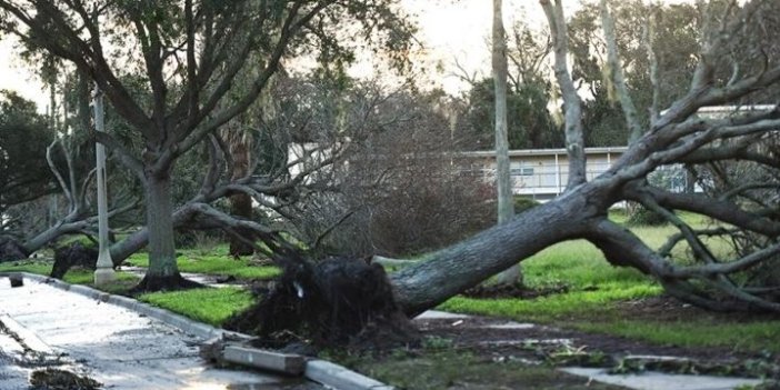 Yeni Zelanda'da Gabrielle Kasırgası 4 kişinin ölümüne sebep oldu