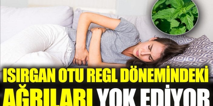 Isırgan otu regl dönemindeki ağrıları yok ediyor