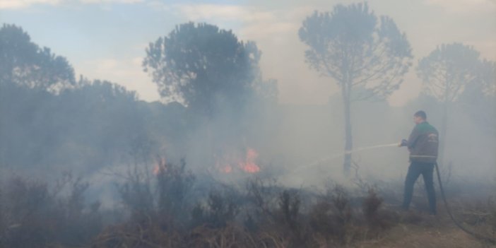 Çanakkale'de 1 hektarlık alan yanarak küle döndü