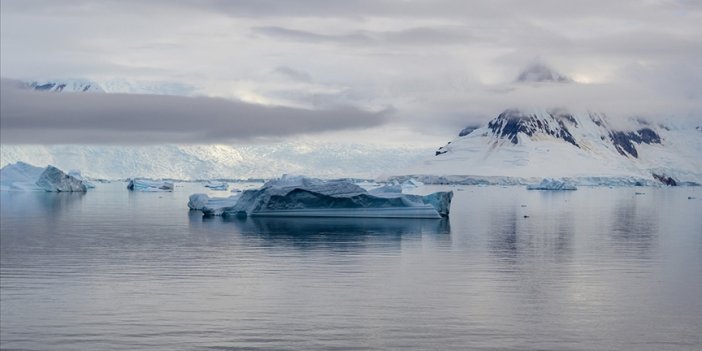 Deniz buzu seviyesi 43 yılın en düşük düzeyinde