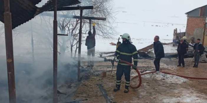 Bayburt'ta ahırda çıkan yangında köpek yavruları ve tonlarca ot yandı