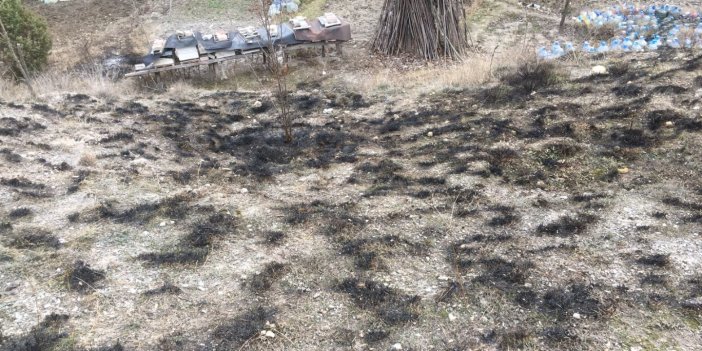Kastamonu’da çıkan yangında arı kovanları son anda kurtarıldı   