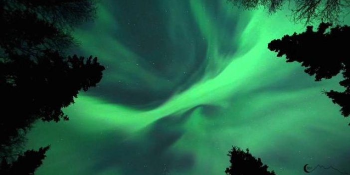 Kuzey ışıkları Alaska'da izleyenleri büyüledi