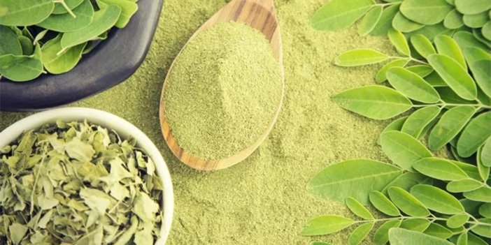 Moringa Çayı neye iyi gelir?