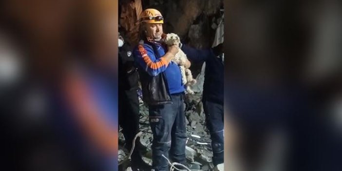 Depremin 25. gününde enkazdan bir köpek canlı kurtarıldı