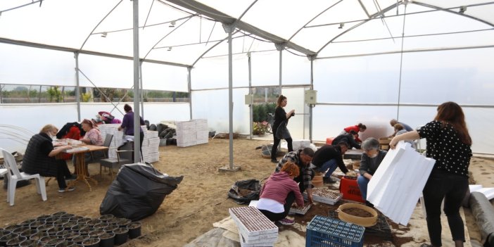 Efes Selçuklu kadınlar deprem bölgesiyle fide dayanışmasını başlattı