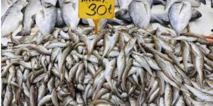 Tezgahların en pahalı ve en ucuz balığı belli oldu