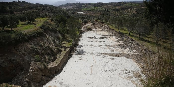 Depremler zeytin bahçesini ikiye ayırdı