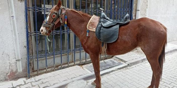 Konya’da alkollü at binicisine para cezası