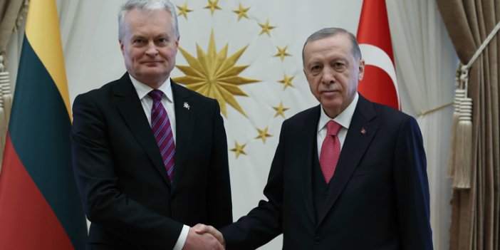 Erdoğan Litvanya Cumhurbaşkanı Nauseda ile görüştü