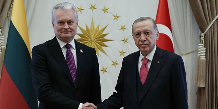 Erdoğan, Litvanyalı mevkidaşı ile görüştü