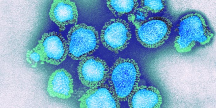 Hindistan'da H3N2 virüsü: İlk ölümler kaydedildi