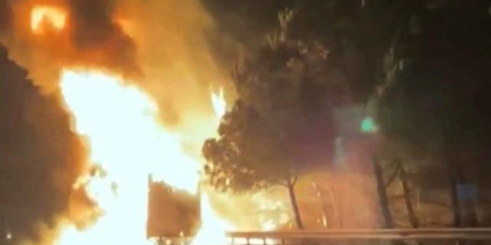 Anadolu Otoyolu'nda tır alev topuna döndü: Yangın ağaçlara sıçradı