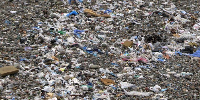 AKP'li belediye Karadeniz sahilini çöplüğe çevirdi