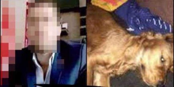 Cinsel saldırıyla köpeğin ölümüne yol açtığı iddia edilen sanık hakkında karar