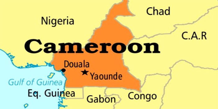 Kamerun'da Senatoda tüm sandalyeleri iktidarın kazandığı açıklandı