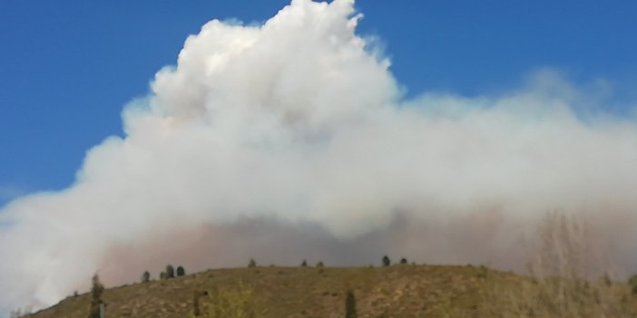 İspanya’da orman yangını. Binden fazla kişi tahliye edildi