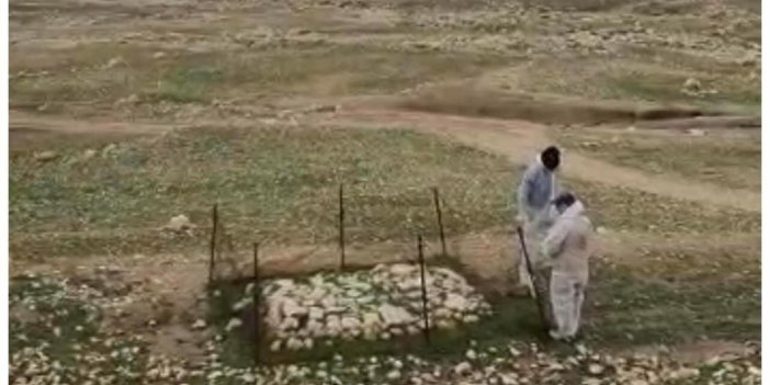 DEAŞ'ın öldürdüğü Yezidilerin toplu mezarı ortaya çıktı
