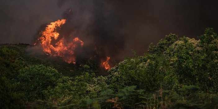 İtalya ve İspanya'yı orman yangınları sardı