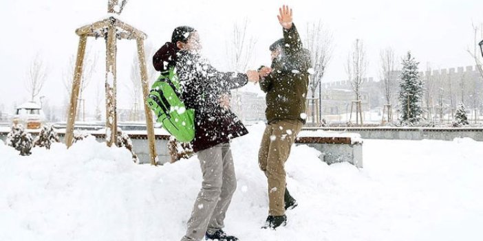Ordu'nun 7 ilçesinde okullara kar tatili