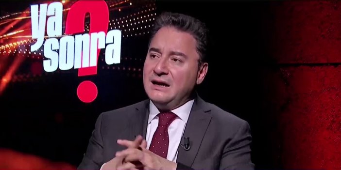 Babacan: Erdoğan'da panik hali var