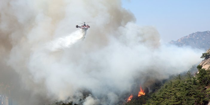 Güney Kore’nin başkentinde orman yangını: 120 ev tahliye edildi   