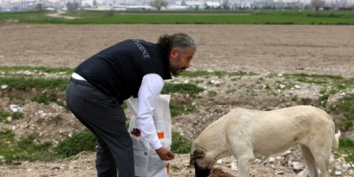 Deprem bölgesinde sahipsiz hayvanlar unutulmadı