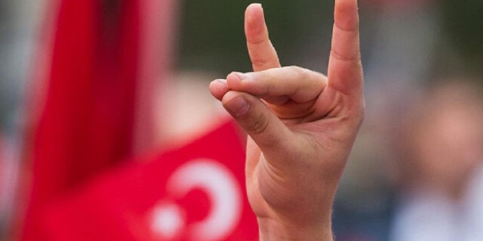 Bozkurt Türk’ün özgürlüğüdür, özgürlüğünün simgesidir