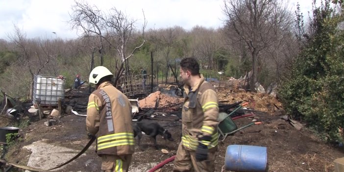 Beykoz’da ahır yandı: İki hayvan telef oldu