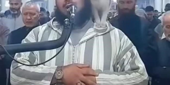 Kedi namaz kıldıran imamın omzuna zıpladı. Video sosyal medyada izlenme rekorları kırdı