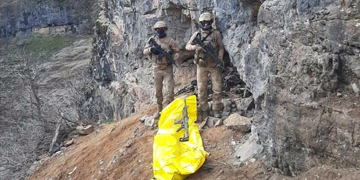 Turuncu kategoride aranan PKK'lı terörist etkisiz hale getirildi
