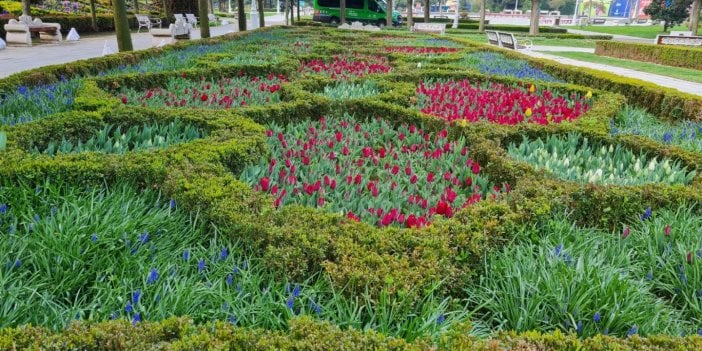 İstanbul'da sümbül, nergis, muscari ve lale zamanı