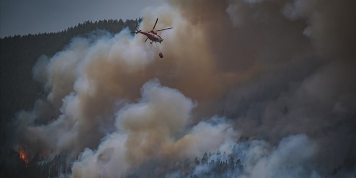 İspanya'daki orman yangınları üç haftadır sürüyor