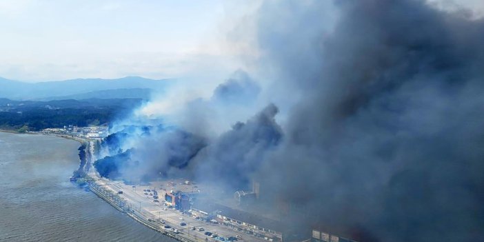 Güney Kore'de orman yangını. Tahliye sayısı 300 oldu