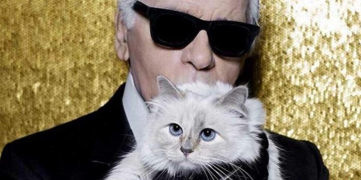 Ünlü modacı Karl Lagerfeld'in kedisi Met Gala'ya davet edildi
