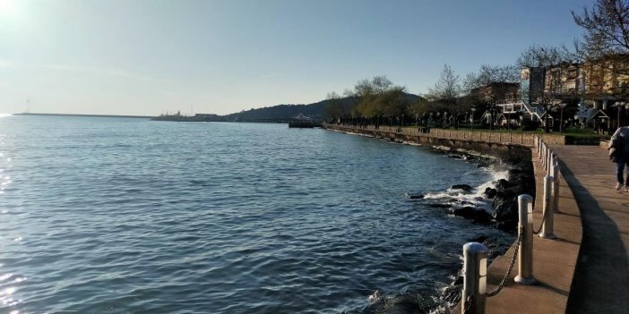 Zonguldak'ta deniz yüzeyinde görüldüğü iddia edilen kirliliğe inceleme