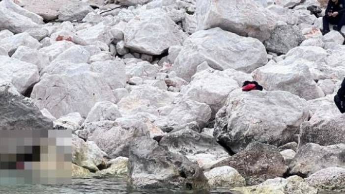Turistler adada kadın cesedi buldu
