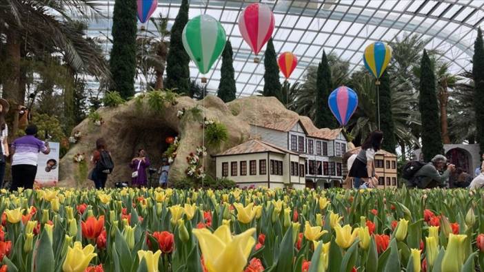 Tulipmania lale sergisi açıldı