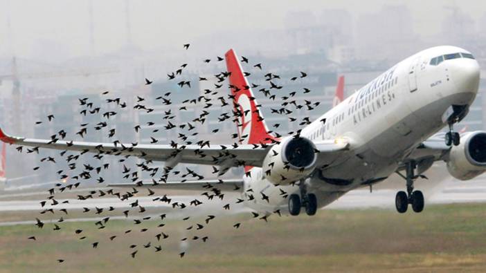 Nepal'de uçağın motoruna kuş çarptı