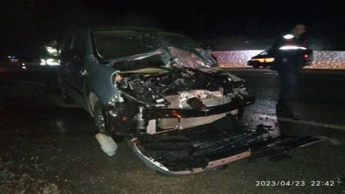 Aracın çarptığı geyik telef oldu: 2 yaralı