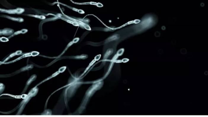 Erkeklerin sperm sayısı neden azalıyor? En büyük risk faktörleri neler?