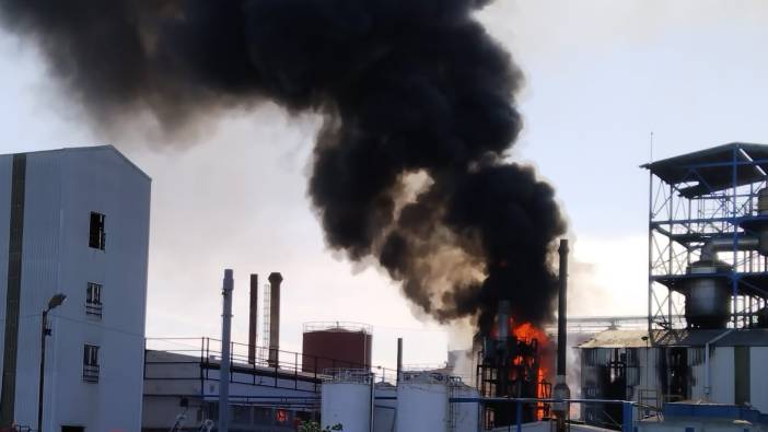 Lüleburgaz'da fabrika yangını
